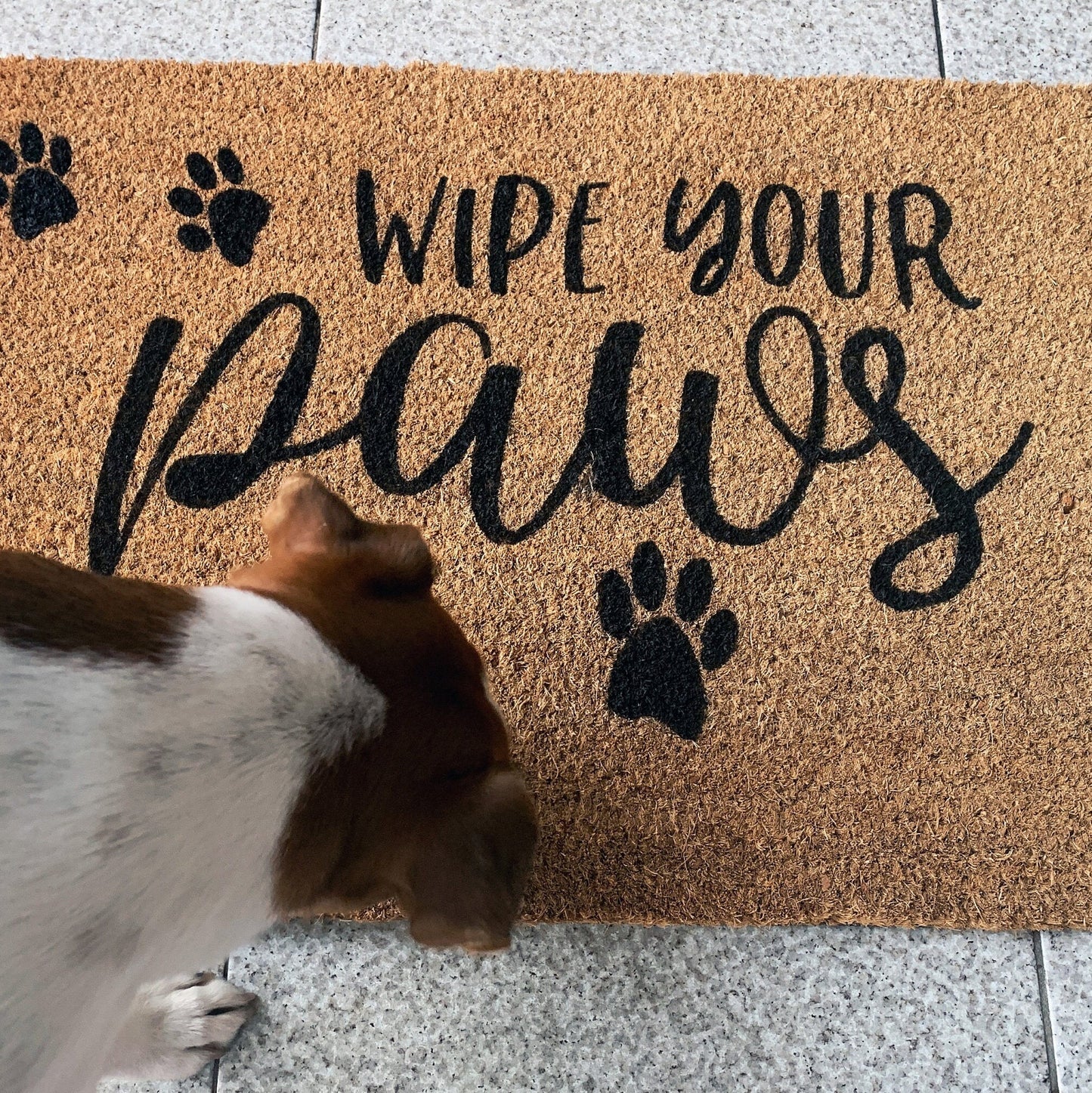Doormat with wipe your paws print