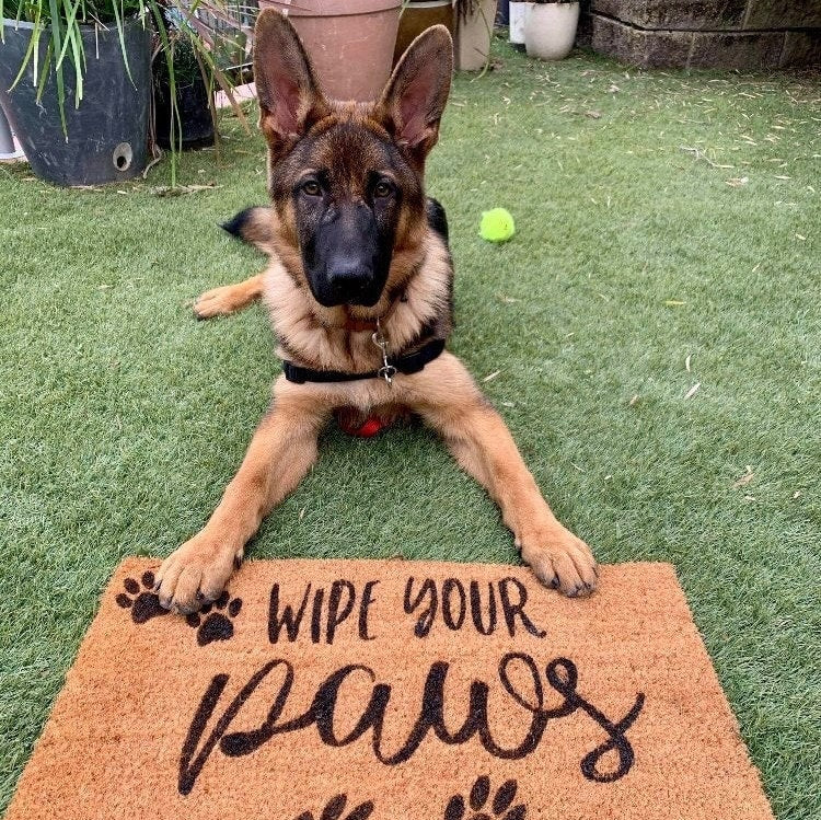 Doormat with wipe your paws print