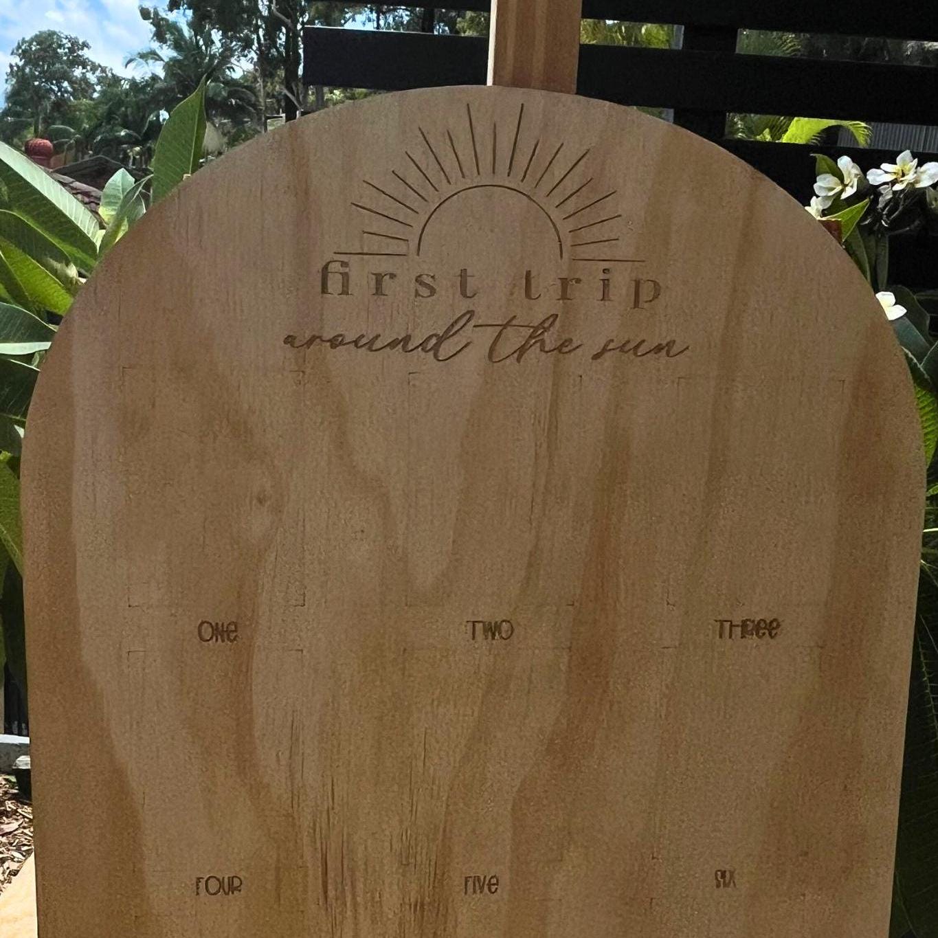 My first trip around the sun photo board-First birthday board